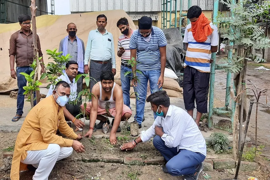 भाजपा नगर अध्यक्ष ने प्लास्टिक काम्पलेक्स में रोपे नीम, आम, तुलसी के पौध