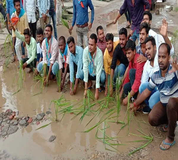पचपेड़िया रोड पर NSUI ने की धान की रोपाई, दिया अल्टीमेटम