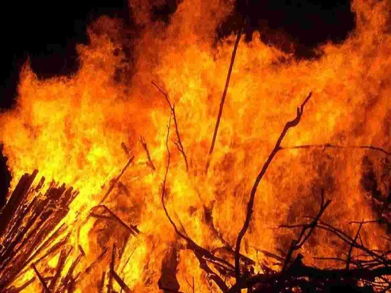 Basti News:अज्ञात कारणों से घारी में लगी आग , पाँच मवेशी बुरी तरह झुलसे