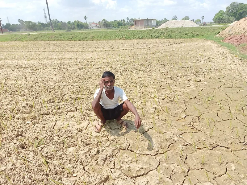 Basti News: ज़िले के किसानों में छायी मायूसी ,सूखे जैसे बन रहे हालात