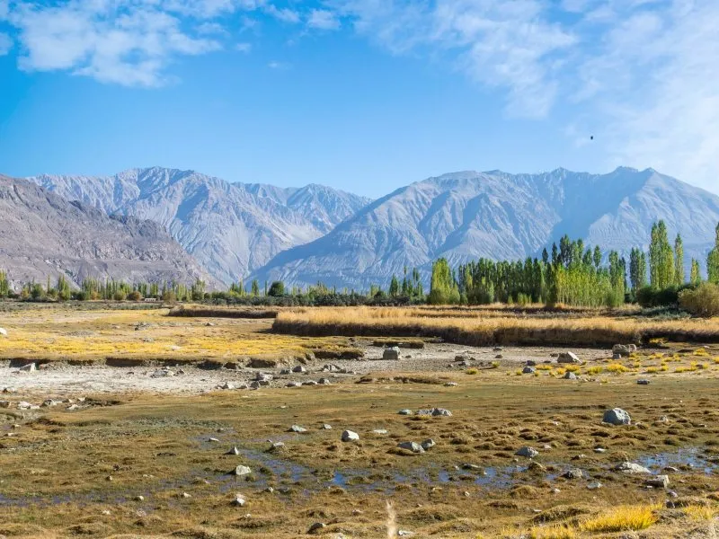 OPINION: पूर्ण शांति और खुशहाली का इंतजार करती जम्मू कश्मीर की वादियां