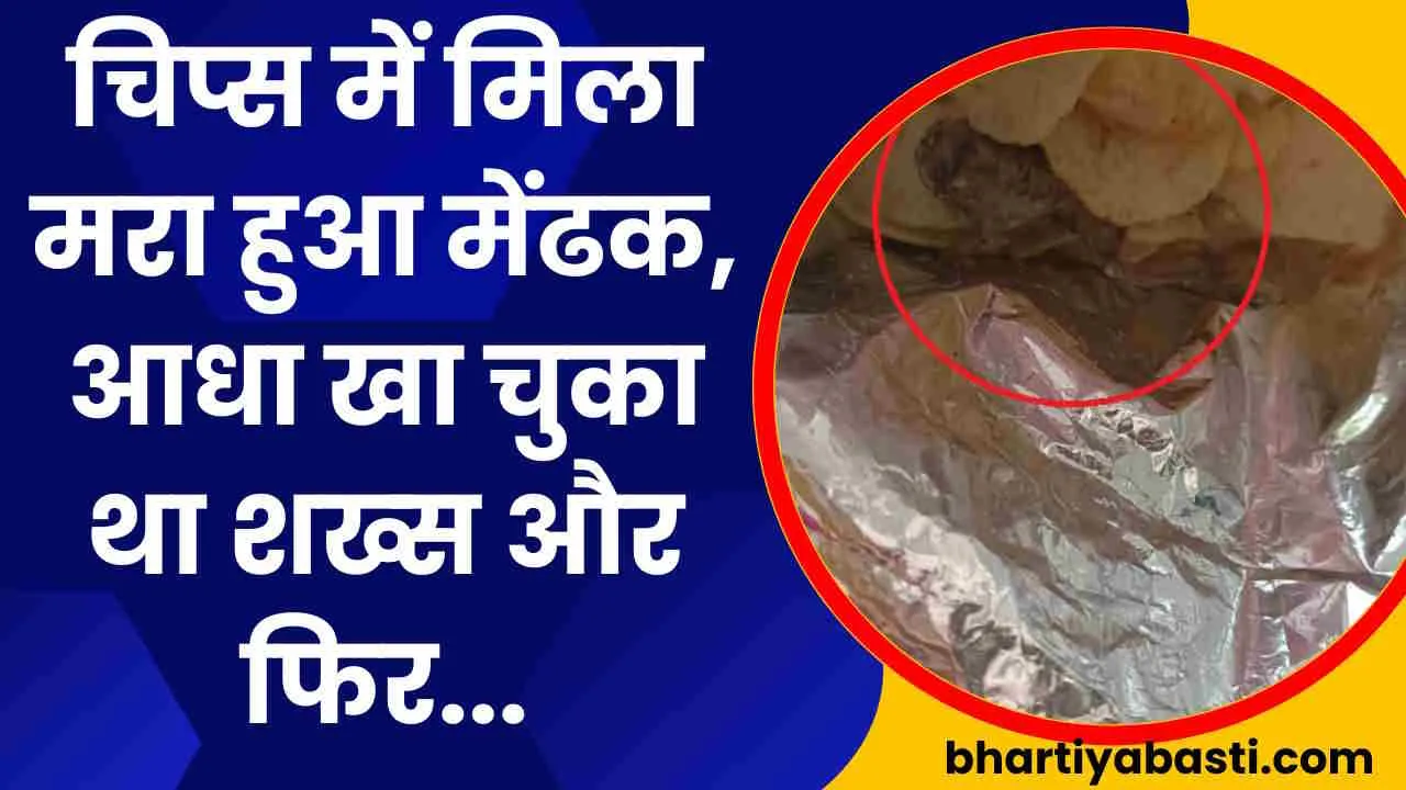 Icecream में कटी उंगली मिलने के बाद अब चिप्स में मिला मरा हुआ मेंढक 