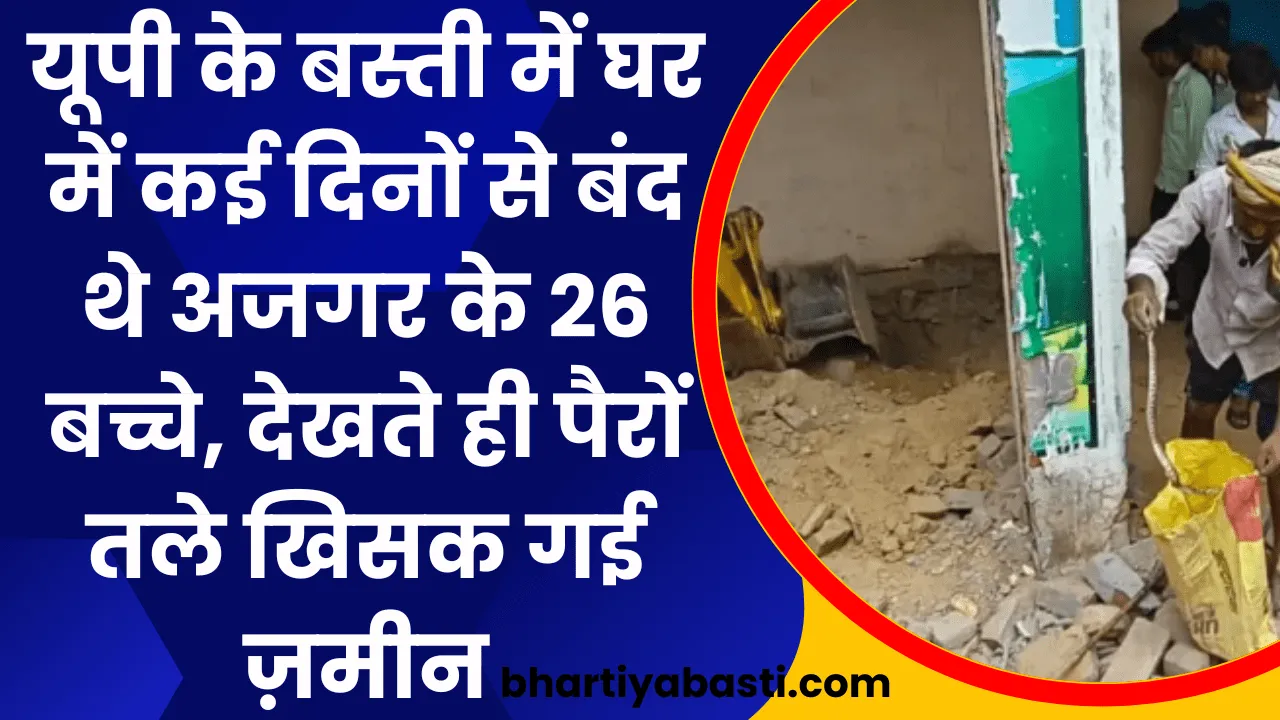 यूपी के बस्ती में घर में कई दिनों से बंद थे अजगर के 26 बच्चे, देखते ही पैरों तले खिसक गई ज़मीन