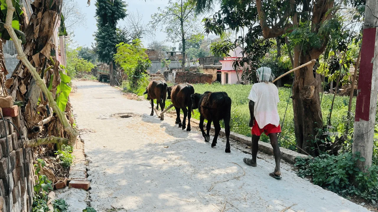 यूपी के इस गाँव में चकबंदी को लेकर प्रक्रिया जारी, सभी को मिलेगी भूमि