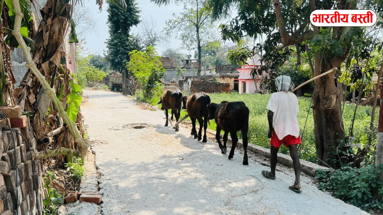 यूपी के इस जिले में कई सालों बाद शुरू हुआ इस गाँव में सड़क निर्माण का कार्य