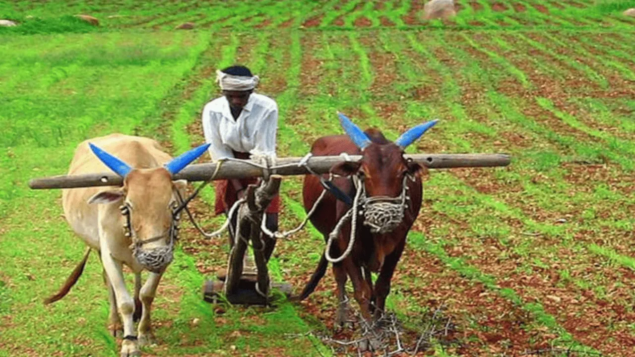 यूपी के किसानों की बल्ले-बल्ले, मिलेंगे 5 हजार रुपए से ज्यादा