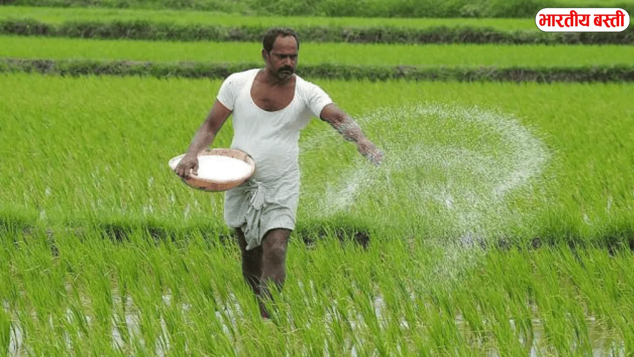 यूपी में धान किसान परेशान! 2369 रुपये समर्थन मूल्य के बावजूद 1600–1800 में बिक रही फसल