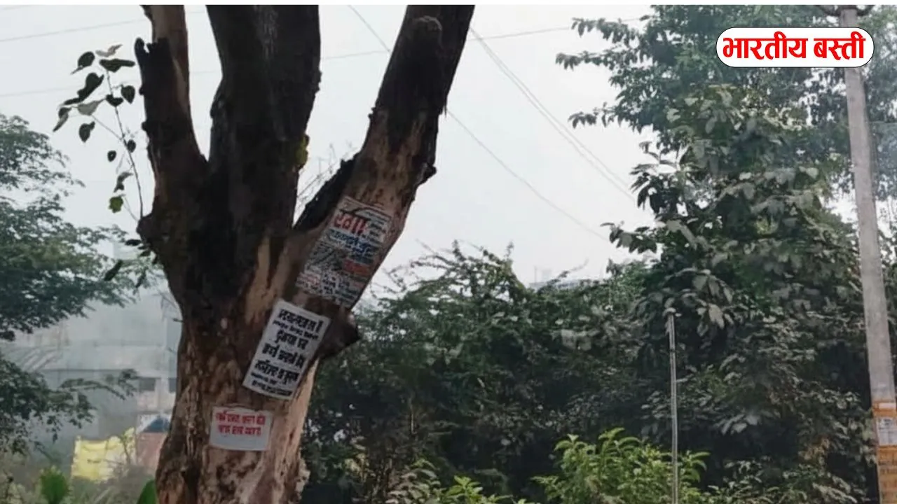 बस्ती–गोरखपुर मार्ग पर सूखा पेड़ बना खतरा, कभी भी हो सकता है हादसा