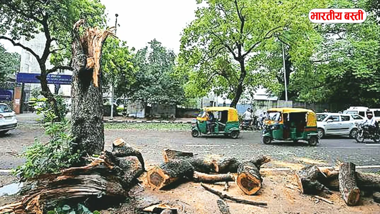 यूपी के इस जिले में सड़क चौड़ीकरण के नाम पर काटे गए 7 हजार से ज्यादा पेड़