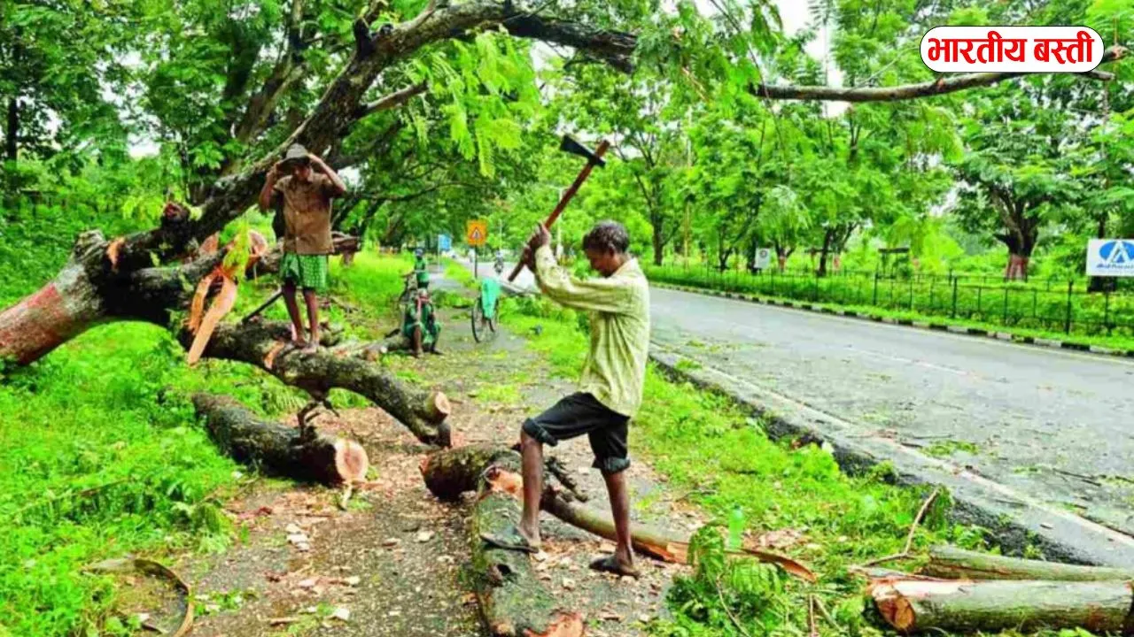 यूपी में इस रूट पर बनेगा हाईवे, कट रहे 50 हजार पेड़