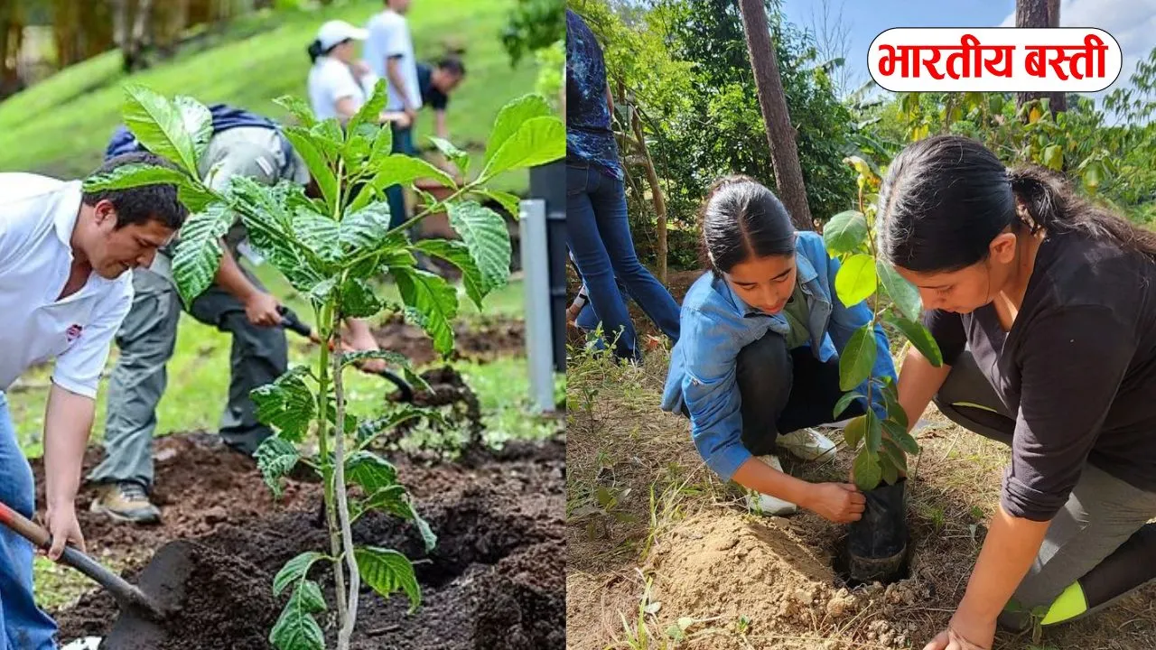 वाराणसी की हवा बदलेगी: डोमरी में बन रहा 4.5 लाख पौधों का मिनी जंगल