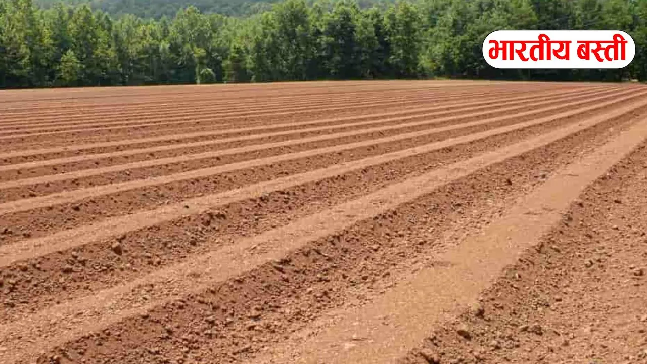 यूपी के इन 80 गाँव में 5600 रुपये मीटर बिकेगी जमीन, जानें आपके गांव का क्या है स्टेटस?