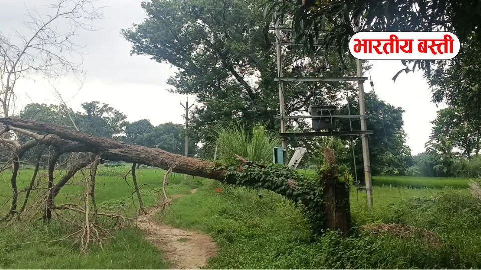 बस्ती में 2 महीने से जमीन पर पड़ा था बिजली का तार, करंट लगने से 7 साल का मासूम घायल