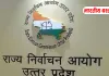 यूपी के 9 जिलों की नगर निकायों में उपचुनाव की घोषणा, जानें कब होगी वोटिंग और किस दिन आएंगे रिजल्ट्स