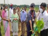वन महोत्सव: डीएम, प्रमुख सचिव ने रोपा पीपल का पौधा