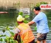 बस्ती में कुंआनो नदी सफाई अभियान, अमहट घाट पर उतरीं नगर पालिका अध्यक्ष नेहा वर्मा