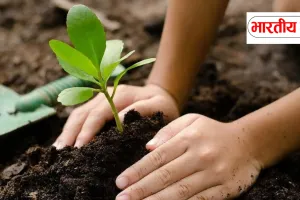 UP में 9 जुलाई से Mega Plantation Drive: एक दिन में लगेंगे 37 करोड़ पेड़, हर जिले में मंत्री करेंगे पौधरोपण