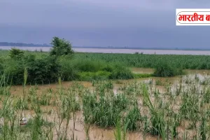 UP में बारिश का संकट: 29 जिलों में सूखे जैसे हालात, देवरिया सबसे प्रभावित, किसानों की बढ़ी मुश्किलें