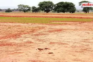 यूपी में 1,000 करोड़ का ज़मीन घोटाला! फर्जी PAN से 250 से ज़्यादा रजिस्ट्री का खुलासा
