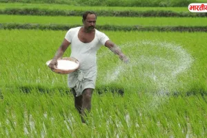 यूपी में धान किसान परेशान! 2369 रुपये समर्थन मूल्य के बावजूद 1600–1800 में बिक रही फसल