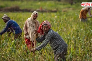 यूपी के इन गांवों में योगी सरकार की नई पहल, किसानों को मिलेगा सीधा लाभ