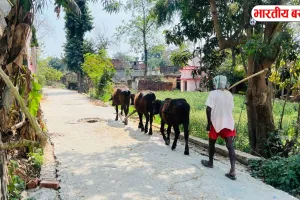 बस्ती के इन गाँव में बनेंगे यह भवन, खर्च होंगे 12 करोड़ रुपए