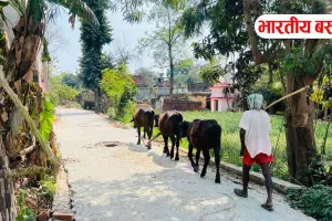 Basti Panchayat Chunav: निर्वाचन आयोग के इस फैसले से बदल जाएगी गांवों की राजनीति! पड़ेगा बड़ा असर?