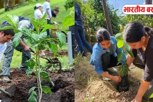वाराणसी की हवा बदलेगी: डोमरी में बन रहा 4.5 लाख पौधों का मिनी जंगल