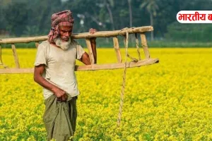 UP के लाखों किसानों के लिए अलर्ट: PM Kisan की 22वीं किस्त पर संकट? तुरंत पूरा कर लें ये जरूरी काम