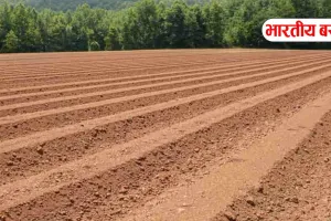 यूपी के इन 80 गाँव में 5600 रुपये मीटर बिकेगी जमीन, जानें आपके गांव का क्या है स्टेटस?