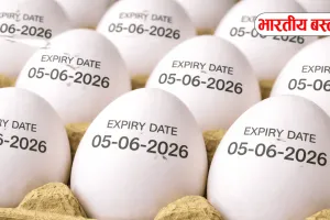 यूपी में 1 अप्रैल से अंडे पर लिखी होगी एक्सपायरी डेट, पुराना माल बेचा तो दुकानदार पर होगी कार्रवाई