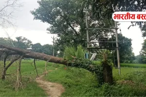 बस्ती में 2 महीने से जमीन पर पड़ा था बिजली का तार, करंट लगने से 7 साल का मासूम घायल