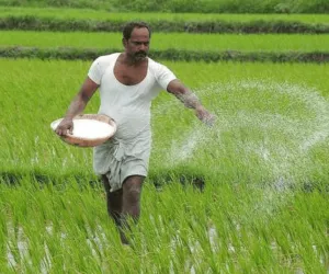 UP गन्ना मूल्य विवाद, ₹30 बढ़ोतरी से किसान ठगा गया, ₹500 क्विंटल तय हो दाम की मांग तेज