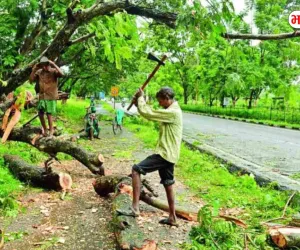 यूपी में इस रूट पर बनेगा हाईवे, कट रहे 50 हजार पेड़