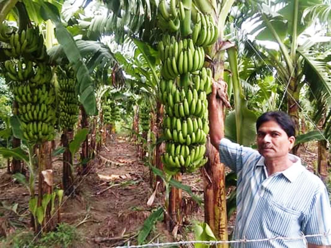 मोदी सरकार के दावे फेल! बस्ती में किसानों को नहीं मिल रहा योजनाओं का लाभ