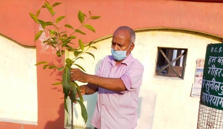 सामाजिक कार्यकर्ता गौहर ने शुरू किया पेड़ों को बचाने का अभियान