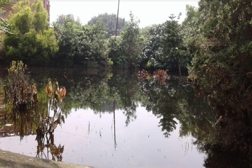 बस्ती: उद्यान विभाग के पौधशाला में बरसात का पानी जमा, सूखने लगे फूल पौधे
