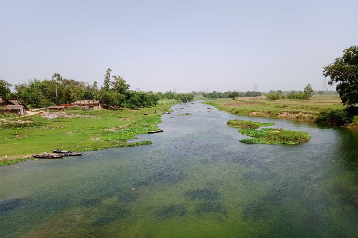 कुआनों और मनवर की स्थिति गंभीर, शैवाल-जलकुंभी ने खराब की जीवनदायिनी नदियों की तस्वीर