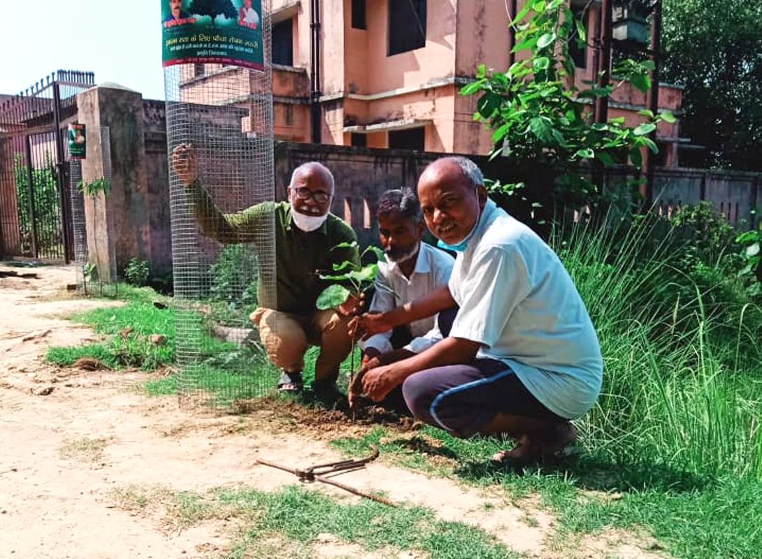 ट्री गार्ड के साथ पोस्टमार्टम हाउस के पास लगाये पौध
