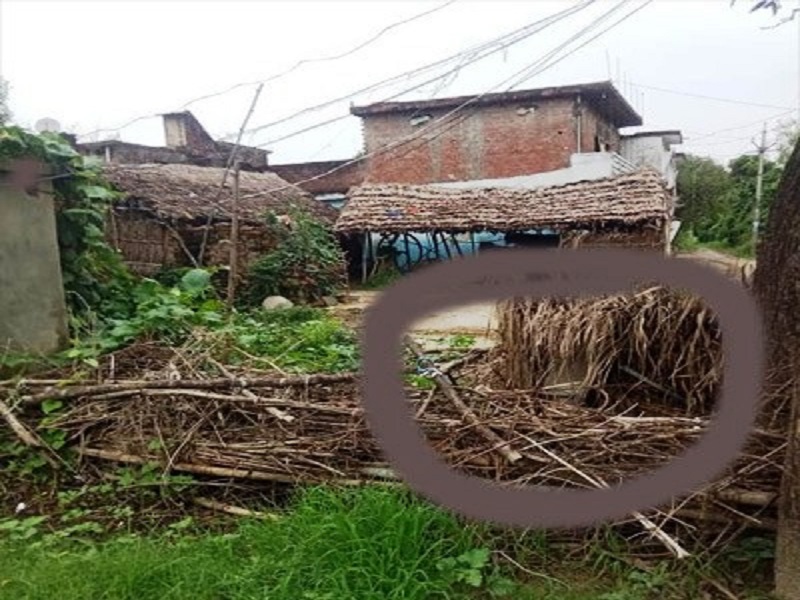 सरकारी नल पर दंबंगों का कब्जा, पानी तक को तरस रहे ग्रामीण