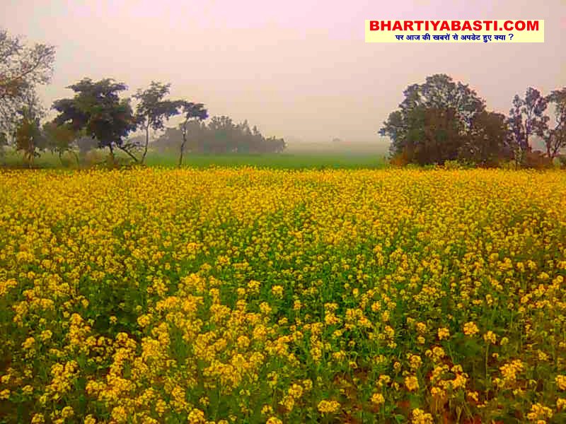 Basant Panchami 2023: गायत्री शक्ति पीठ पर धूमधाम से मनाया जायेगा बसंत पंचमी का पावन पर्व