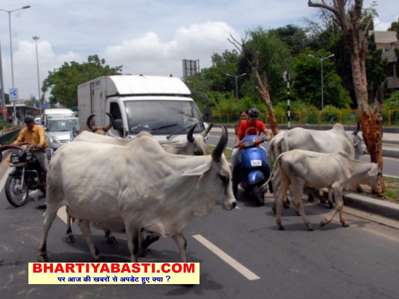 Chandigarh: नाम बड़े दर्शन छोटे