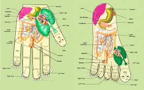 Acupressure Points: एक्यूप्रेशर कैसे इलाज करता है, जानें यहां