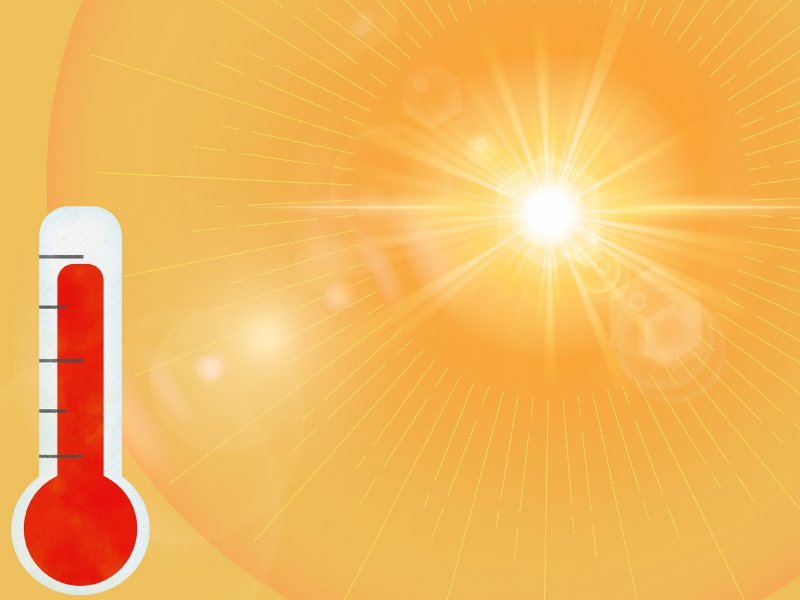 Heat Wave: गर्मी से उत्पन्न रोगों में कारगर है होम्योपैथी, जानें-क्या कहते हैं विशेषज्ञ