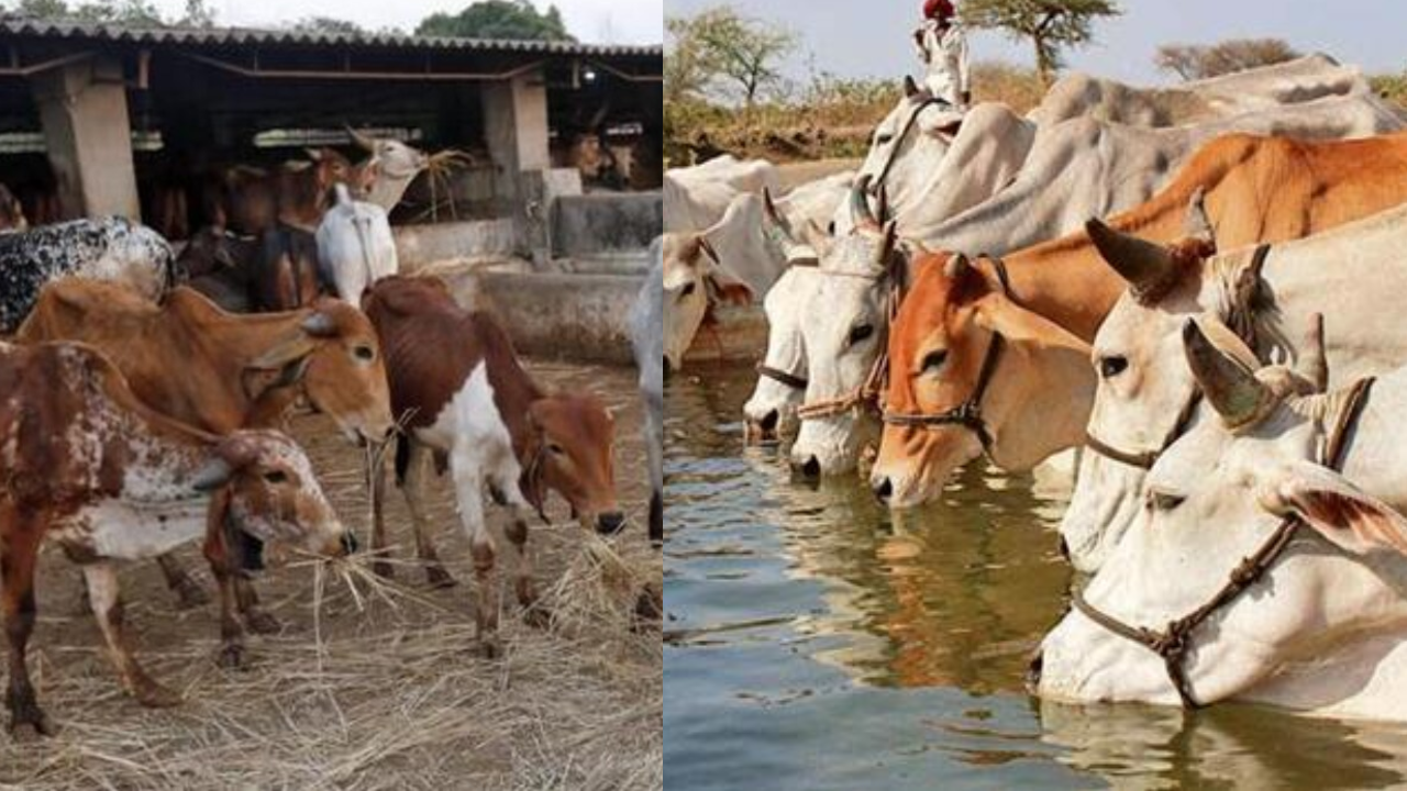 यूपी के गाँव बनेंगे छोटे उद्योग केंद्र, गौशालाओं से चलेगी रोजगार और आत्मनिर्भरता की नई मुहिम