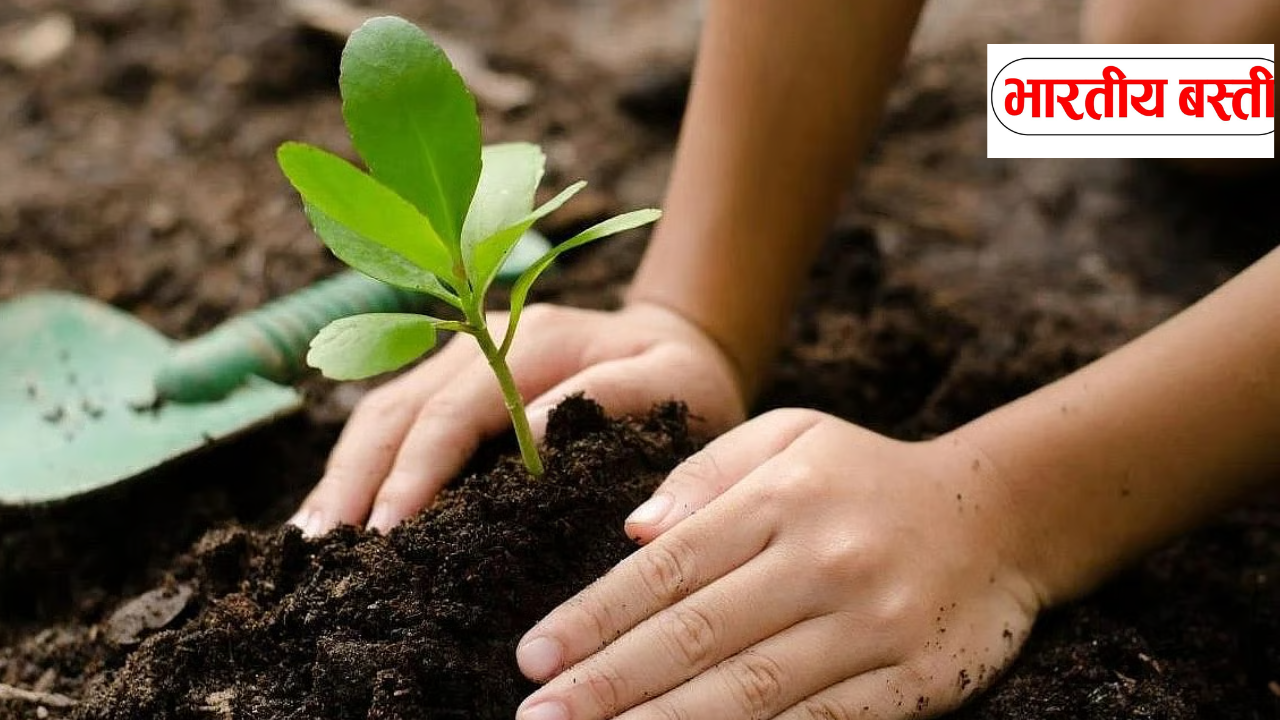 UP में 9 जुलाई से Mega Plantation Drive: एक दिन में लगेंगे 37 करोड़ पेड़, हर जिले में मंत्री करेंगे पौधरोपण