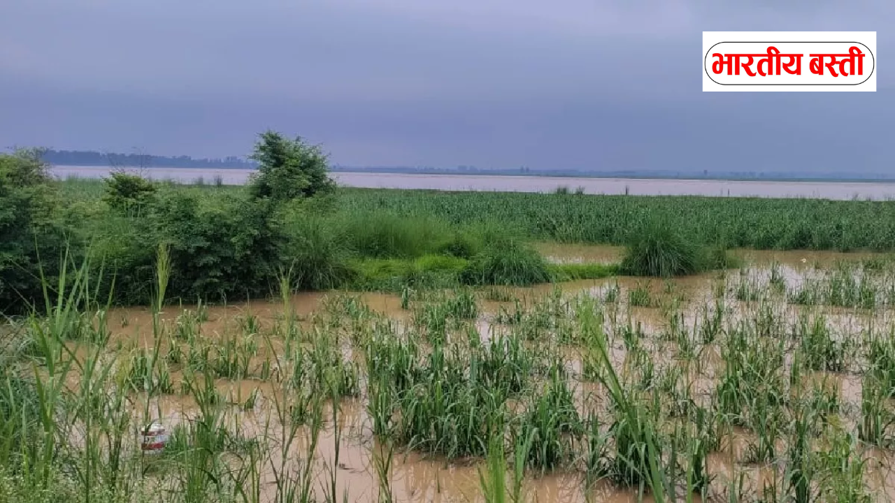 UP में बारिश का संकट: 29 जिलों में सूखे जैसे हालात, देवरिया सबसे प्रभावित, किसानों की बढ़ी मुश्किलें