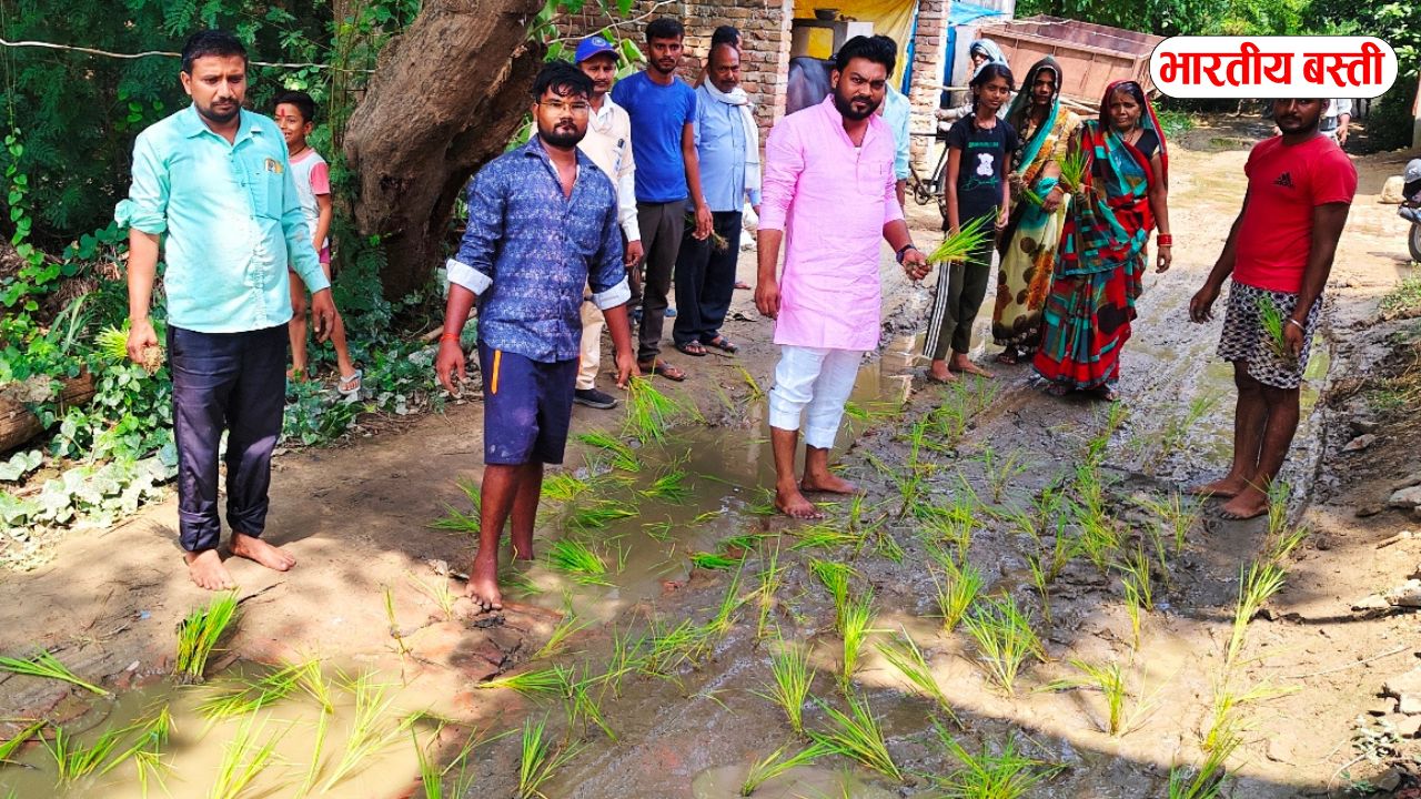 बस्ती में ग्रामीणों ने सड़क पर किया धान की रोपाई, जर्जर सड़क के निर्माण की मांग