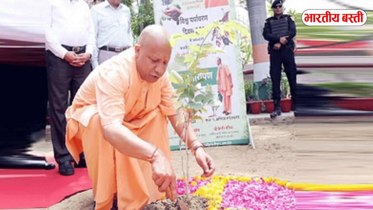 UP में बना रिकॉर्ड! 'एक पेड़ मां के नाम' अभियान में एक दिन में 37 करोड़ से अधिक पौधे रोपे गए
