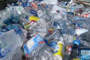 OPINION: भारत प्लास्टिक मुक्त कैसे हो?